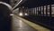 Revealing shot of New York City subway train arriving to the underground station