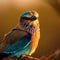 Reveling in the Exquisite Details of the Indian Roller Bird in Perfect Lighting