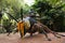 Reverend Luang Phor Kong sit on Giant large Phaya Hornet wasp in Khum Khun Phaen garden park in Wat Khae temple for thai people