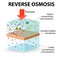 Reverse Osmosis