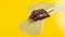 Reverse of studio shoot of red bean popsicle melting time lapse on a yellow background
