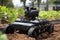 revolutionizing agriculture robotic machines automating harvest assembly on modern farms