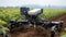 Revolutionizing agriculture robotic machines automating harvest assembly on modern farms