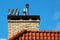 Revolving cowls eradicate downdraught in chimneys