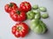 rewako tomato hydroponic system