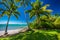 Rex Smeal Park in Port Douglas with palm trees and beach