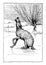 Reynard the Fox: Tricking Ereswine at the Lake vintage illustration