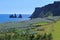 Reynisdrangar Seastacks and Cliffs at Vik i Myrdal behind Fields of Lupines, South Coast of Iceland