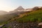 Reynolds mountain in morning light behind alpine meadows