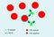 Rh system Antigen-Antibody reaction complex