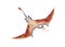 Rhamphorhynchus, flying pterosaur. Long-tailed winged dinosaur. Ancient prehistoric extinct dino of prehistory Jurassic