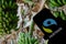 Rheinbach, Germany  1 October 2021,   The `Fairtrade` brand logo on the display of a smartphone in front of a banana plantation