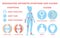 Rheumatism infographic. Bone disease on foot, hand