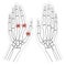 Rheumatoid arthritis bone hand. Palm and fingers image on white background. Linear design