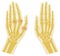 Rheumatoid arthritis bone hand. Palm and fingers. Vector image on white background. Flat design
