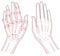 Rheumatoid arthritis bone hand. Palm and fingers. Vector image on white background. Flat design