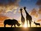 Rhino with Giraffes and antelope at sunset