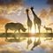 Rhino with Giraffes and Antelope at sunset