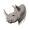 Rhino head portrait, rhinoceros, color drawing, realistic