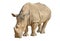 Rhino isolated on white with clipping path