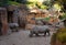 Rhino in natural environment in wild habitats in in Spanish zoo Valencia Bioparc