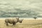 Rhino standing in dry African savana with heavy dramatic clouds above