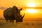 A rhino stands confidently atop a field covered in lush green grass, An impressive rhino, stark against the setting sun, AI