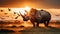 Rhinoceros in Africa in the sunset