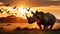 Rhinoceros in Africa in the sunset