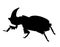 Rhinoceros beetle. Black hand drawn silhouette image.
