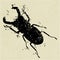 Rhinoceros beetle grunge silhouette on vintage paper