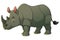 Rhinoceros Cartoon Animal Illustration Color