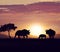 Rhinoceros family at sunset