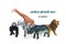 Rhinoceros, giraffe, lion, zebra, elephant isolated on white background Text World Wildlife Day 3 march celebrate many beautiful