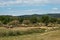 Rhinoceros Grazing and Wildebeests Resting in Sigean Wildlife Safari Park on a Sunny Spring Day in France