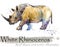 Rhinoceros hand drawn watercolor illustration