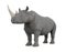 Rhinoceros Isolated