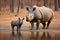 rhinoceros with its calf standing near the waterhole