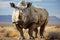 Rhinoceros with large horns. Generative AI