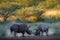 Rhinoceros in Pilanesberg NP, South Africa. White rhinoceros, Ceratotherium simum, big animal in the African nature, near the