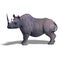 Rhinoceros Rendering