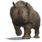 Rhinoceros Rendering