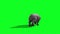 Rhinoceros runs back green screen 3D Renderings Animations Animals