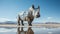 A rhinoceros standing in a desert