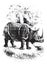 Rhinoceros, vintage engraving