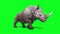 Rhinoceros walk cycle green screen 3D Rendering Animation Animals