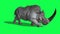 Rhinoceros walk cycle side green screen