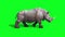 Rhinoceros walk cycle side green screen 3D Rendering Animation Animals