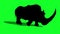 Rhinoceros walk cycle side green screen 3D rendering animation animals