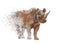 Rhinoceros Watercolor .Digital Painting on White